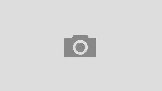 SHIBA INU – ROUBO DE 260 BILHÕES PODE DERRETER O TOKEN 😰 ENTENDA …